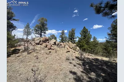 487 Pike View Lane, Florissant, CO 80816 - Photo 38