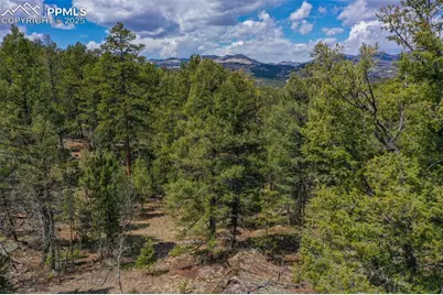 487 Pike View Lane, Florissant, CO 80816 - Photo 30