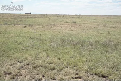 143 N Holtwood Road, Rush, CO 80833 - Photo 8