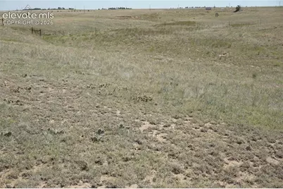 143 N Holtwood Road, Rush, CO 80833 - Photo 2