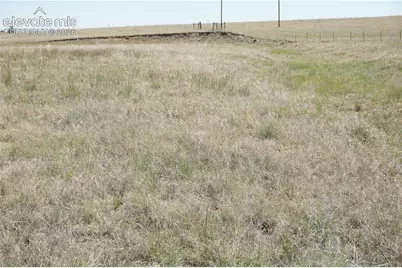 143 N Holtwood Road, Rush, CO 80833 - Photo 4