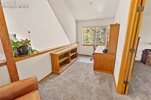 595 Bird Point Rd, Florissant, CO 80816 - Photo 14