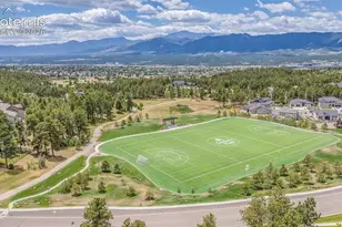 747 Sage Forest Ln, Monument, CO 80132 - Photo 6