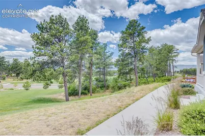 747 Sage Forest Lane, Monument, CO 80132 - Photo 4