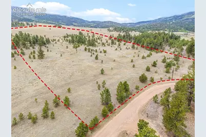 Ranger Station Road, Florissant, CO 80846 - Photo 4