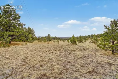 Tbd Ranger Station Road, Florissant, CO 80846 - Photo 16