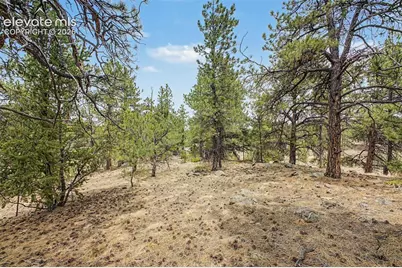 Tbd Ranger Station Road, Florissant, CO 80846 - Photo 22