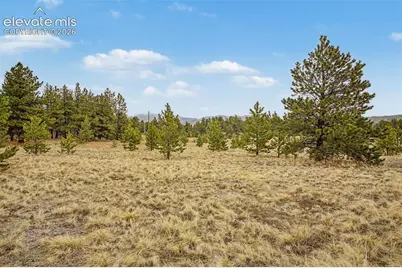 Tbd Ranger Station Road, Florissant, CO 80846 - Photo 14