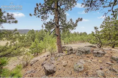 Tbd Ranger Station Road, Florissant, CO 80846 - Photo 20