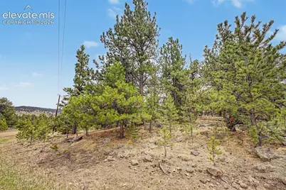 Tbd Ranger Station Road, Florissant, CO 80846 - Photo 24