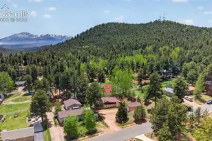 919 W Browning Ave, Woodland Park, CO 80863 - Photo 2