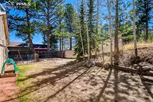919 W Browning Ave, Woodland Park, CO 80863 - Photo 18
