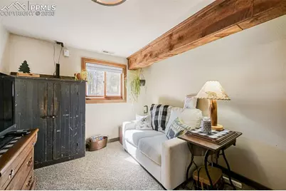 919 W Browning Avenue, Woodland Park, CO 80863 - Photo 14