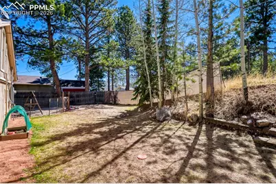 919 W Browning Avenue, Woodland Park, CO 80863 - Photo 28