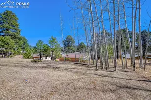 919 W Browning Ave, Woodland Park, CO 80863 - Photo 26