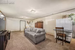 919 W Browning Ave, Woodland Park, CO 80863 - Photo 16