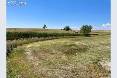 20655 County Road 101, Ramah, CO 80832 - Photo 14