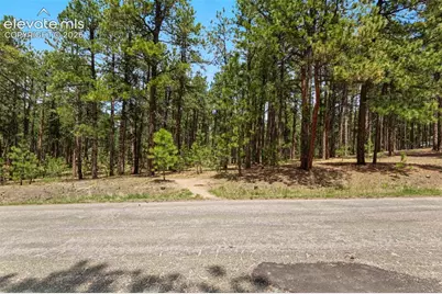 140 E Stirrup Trail, Monument, CO 80132 - Photo 6