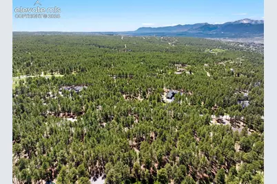 140 E Stirrup Trail, Monument, CO 80132 - Photo 22