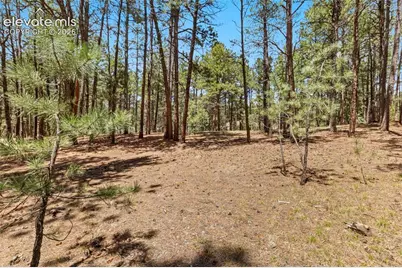140 E Stirrup Trail, Monument, CO 80132 - Photo 16