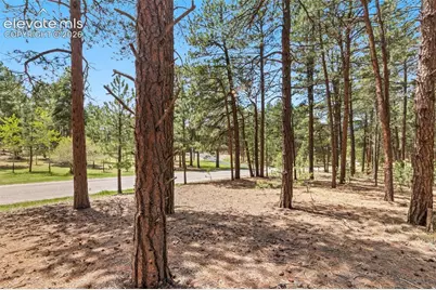 140 E Stirrup Trail, Monument, CO 80132 - Photo 20
