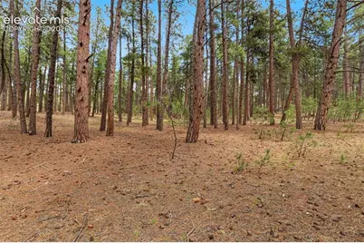 140 E Stirrup Trail, Monument, CO 80132 - Photo 8