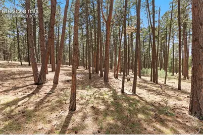 140 E Stirrup Trail, Monument, CO 80132 - Photo 12