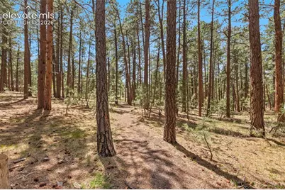 140 E Stirrup Trail, Monument, CO 80132 - Photo 18