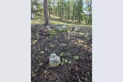 1117 Appleby Drive, Sedalia, CO 80135 - Photo 26