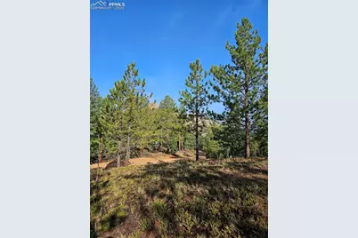 1117 Appleby Drive, Sedalia, CO 80135 - Photo 4