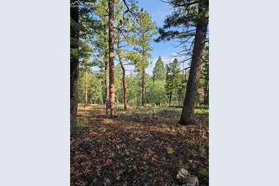 1117 Appleby Drive, Sedalia, CO 80135 - Photo 16