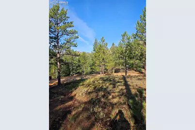 1117 Appleby Drive, Sedalia, CO 80135 - Photo 6