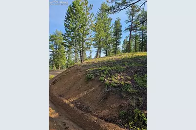 1117 Appleby Drive, Sedalia, CO 80135 - Photo 30