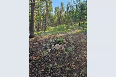 1117 Appleby Drive, Sedalia, CO 80135 - Photo 10