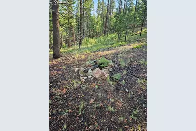 1117 Appleby Drive, Sedalia, CO 80135 - Photo 12