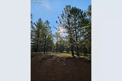 1117 Appleby Drive, Sedalia, CO 80135 - Photo 32