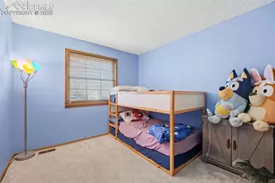 4375 Cassidy St, Colorado Springs, CO 80911 - Photo 22