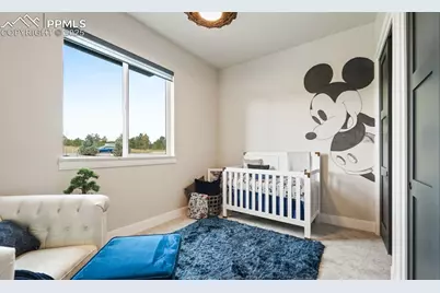 15271 Allen Ranch Road, Colorado Springs, CO 80908 - Photo 20