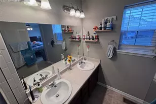 8856 Bella Flora Heights, Colorado Springs, CO 80924 - Photo 28