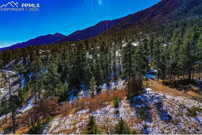 5330 Chipita Pines Drive, Cascade, CO 80809 - Photo 22