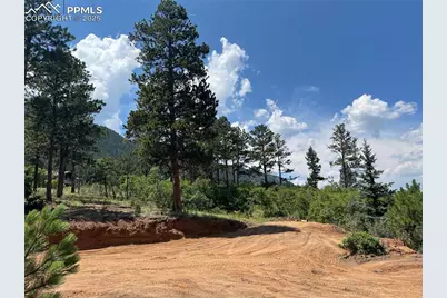 5330 Chipita Pines Drive, Cascade, CO 80809 - Photo 16