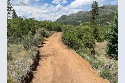 5330 Chipita Pines Drive, Cascade, CO 80809 - Photo 12