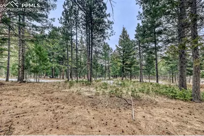 Rock Ridge Road, Palmer Lake, CO 80133 - Photo 14