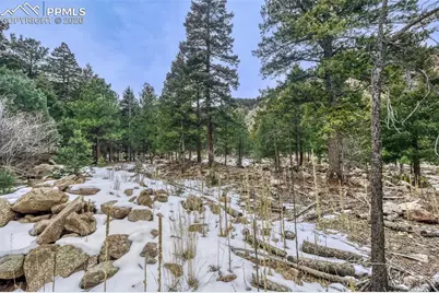 Rock Ridge Road, Palmer Lake, CO 80133 - Photo 6