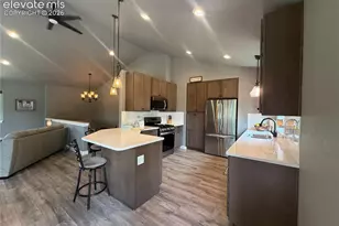 24 Bighorn Cir, Florissant, CO 80816 - Photo 16