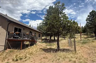 24 Bighorn Cir, Florissant, CO 80816 - Photo 6