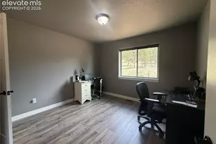 24 Bighorn Cir, Florissant, CO 80816 - Photo 26