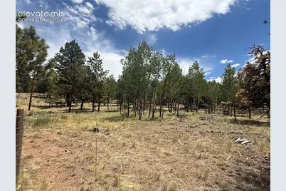 24 Big Horn Circle, Florissant, CO 80816 - Photo 8