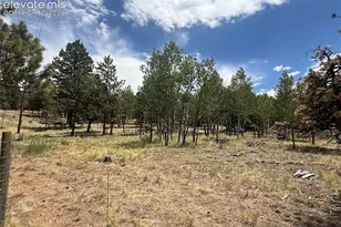 24 Bighorn Cir, Florissant, CO 80816 - Photo 8