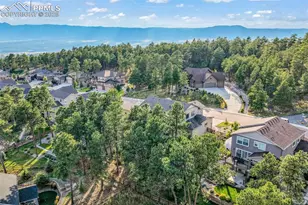 16267 Thunder Cat Wy, Monument, CO 80132 - Photo 48